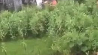 这就是现在的中国共产党吗？