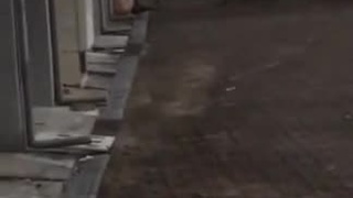 [不能只有我看到!!]原來在這X一中空地上，也帶來我們各位滿滿的， 大 砲 台~!(2)