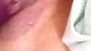 妇女之友-茄子?