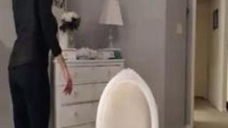 ジゼルウェブカメラ11-19-14（2）