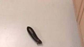 理子は彼女の台所でディルドーの夢を見て、彼女のおもちゃを使ってザーメンをする