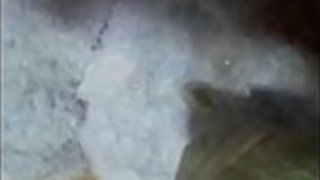 もちこ 2012-11-26 05-16