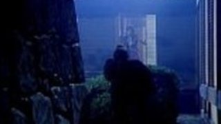 女性忍者 - マジッククロニクル（1991）