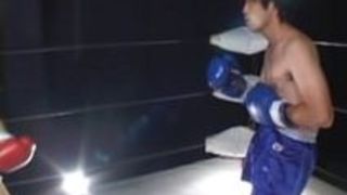 日本の混合ボクシングセックス