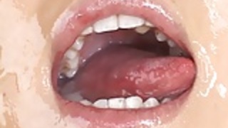 伝統的な日本食