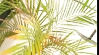 JAPAN新しいスタイル:)）