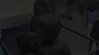 エロアニメ チャ ファン 男 秘密