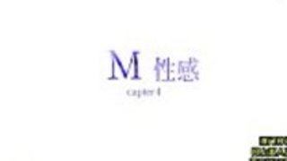 日本のポルノ1888788966